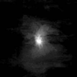 DOD_111720827 — isolated (scene removed)