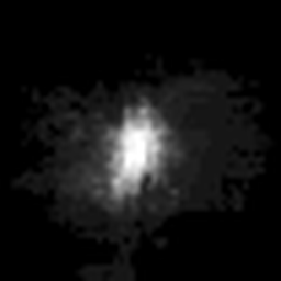 DOD_111720883 — isolated (scene removed)