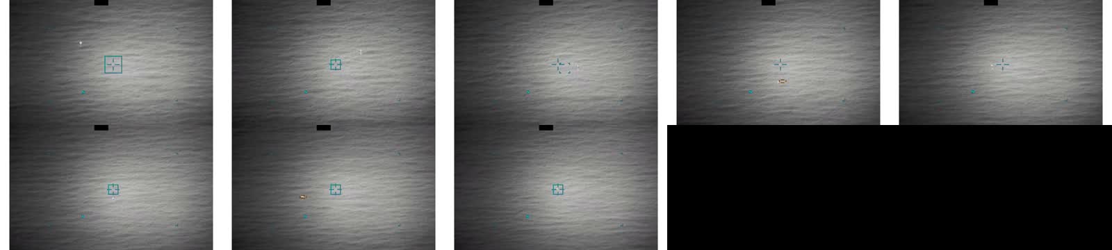 DOD_111688964