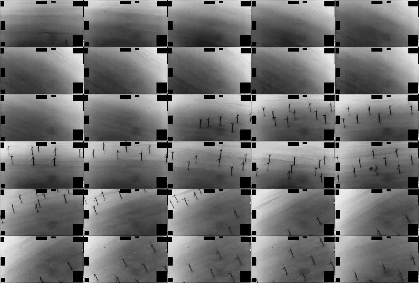 DOD_111689167