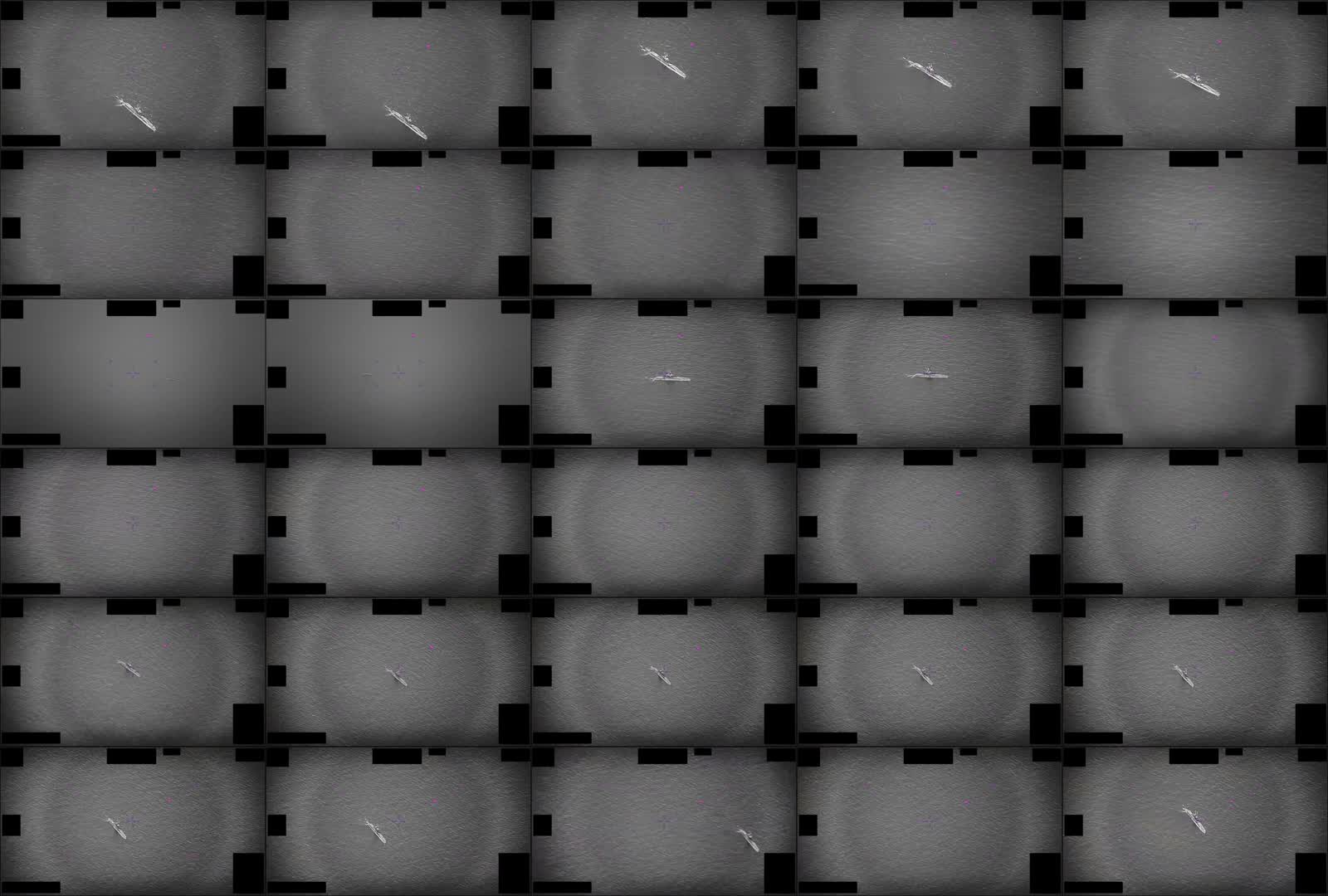 DOD_111720696